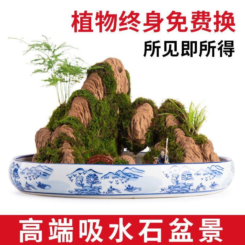 精品室内天然吸水石造景