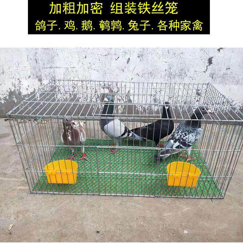 镀锌加高鸡笼子家用大号