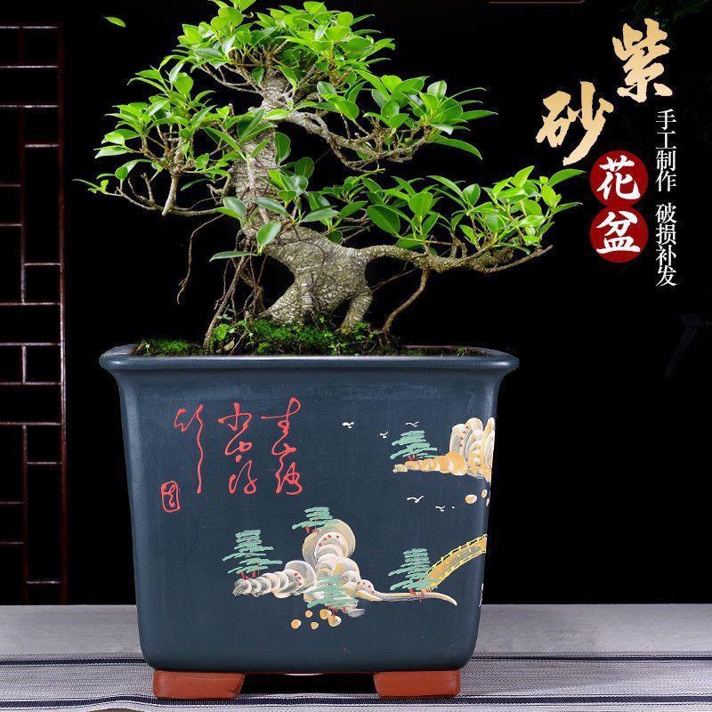 特大号四方紫砂花盆君子