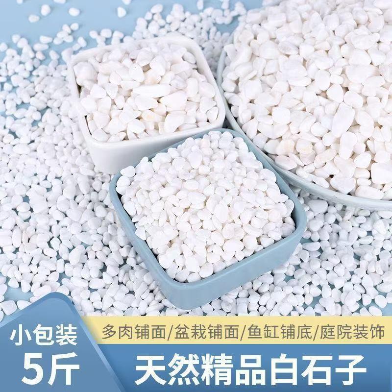 多肉铺面专用石头养花小
