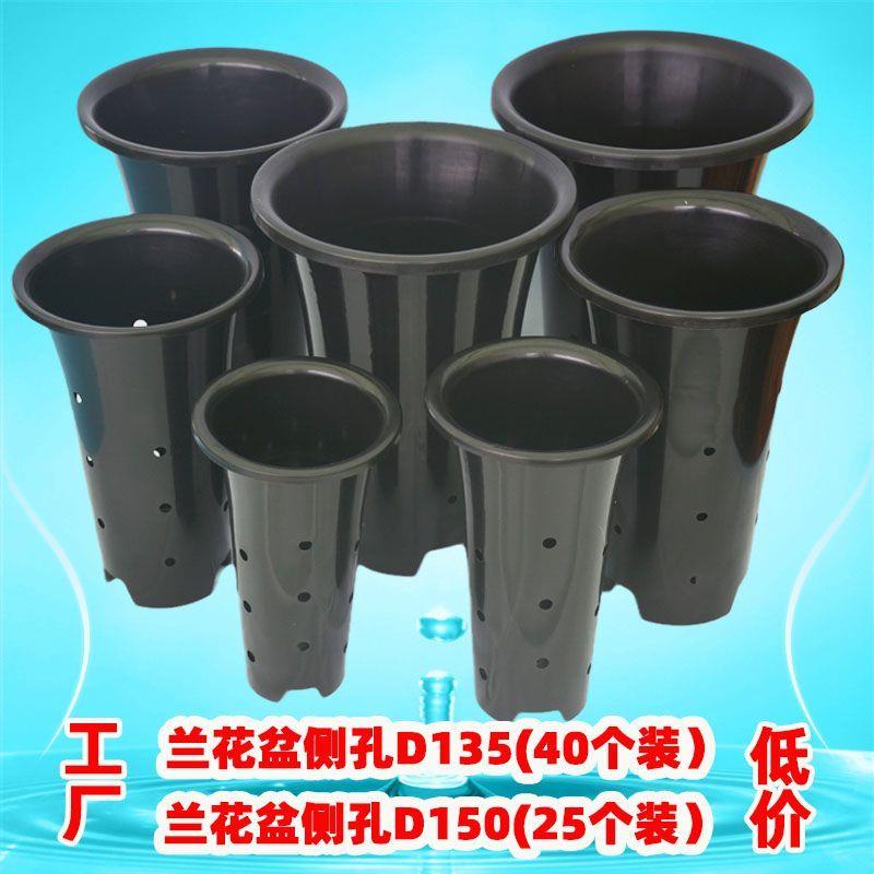 十至四十个兰花盆塑料加