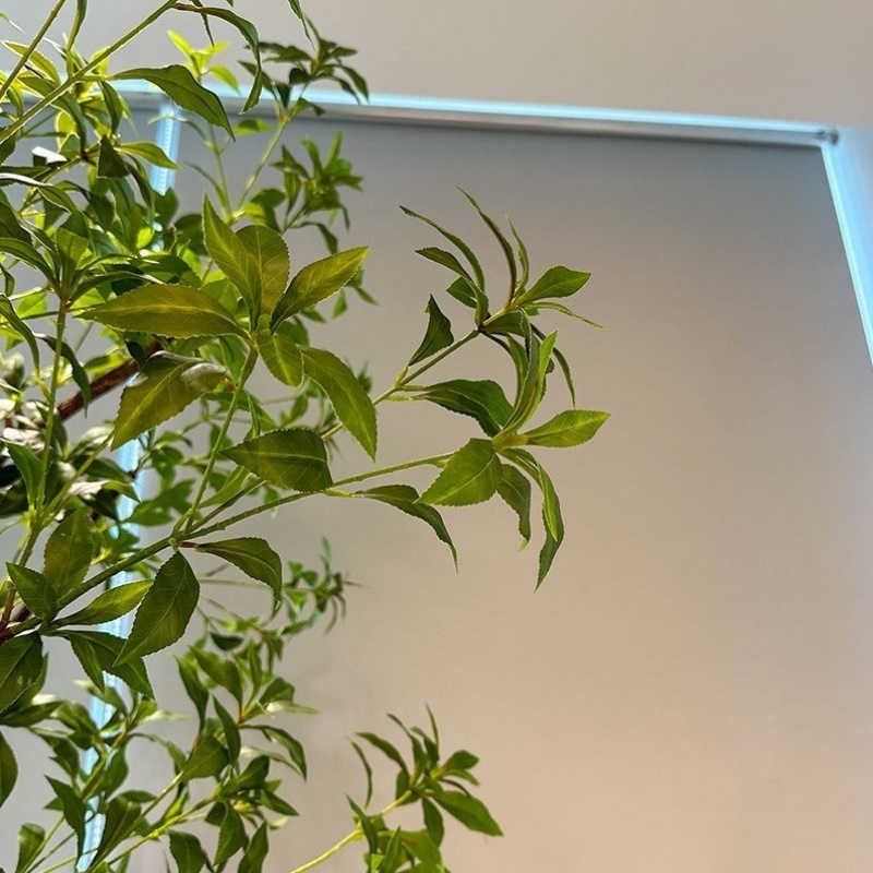 高端仿真马醉木橱窗造景植物室内仿生绿植装饰树大型假树简约景观