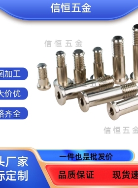 BGSP BGSPM BGSPS BKT31 BKT32 BKT36 肩型轴承止动销 螺栓型