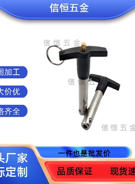 T型快卸销球头锁紧销 T形手柄快锁销释放插销直径10/12  MS17985