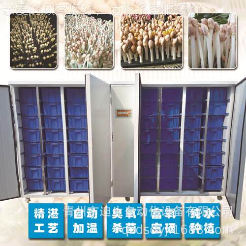 全DS-HSY20自动型水培商0钢用64框日产20新斤彩花生芽机