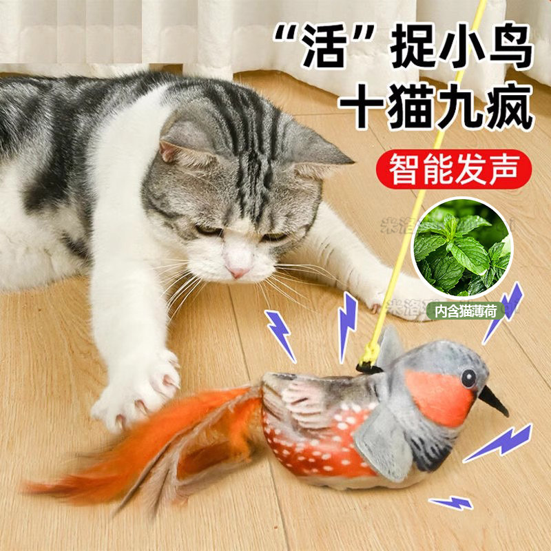 猫咪玩具逗猫棒仿真会叫小鸟玩具羽毛自嗨解闷神器耐抓咬宠物用品,宠物/宠物食品及用品,逗猫棒,淘宝优惠券,粉丝福利购,淘宝优惠卷
