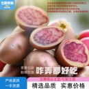 七彩土豆云南特产红皮花心洋芋花青素火锅美食马铃薯新鲜蔬菜批发