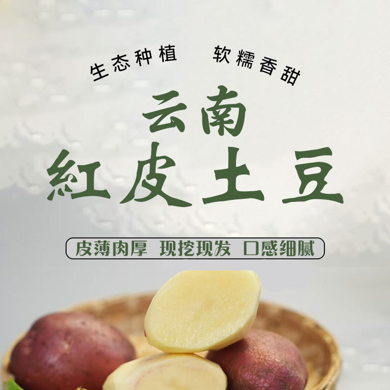 红皮黄心洋芋土豆云南特产新鲜蔬菜餐厅批发零售健康火锅美食