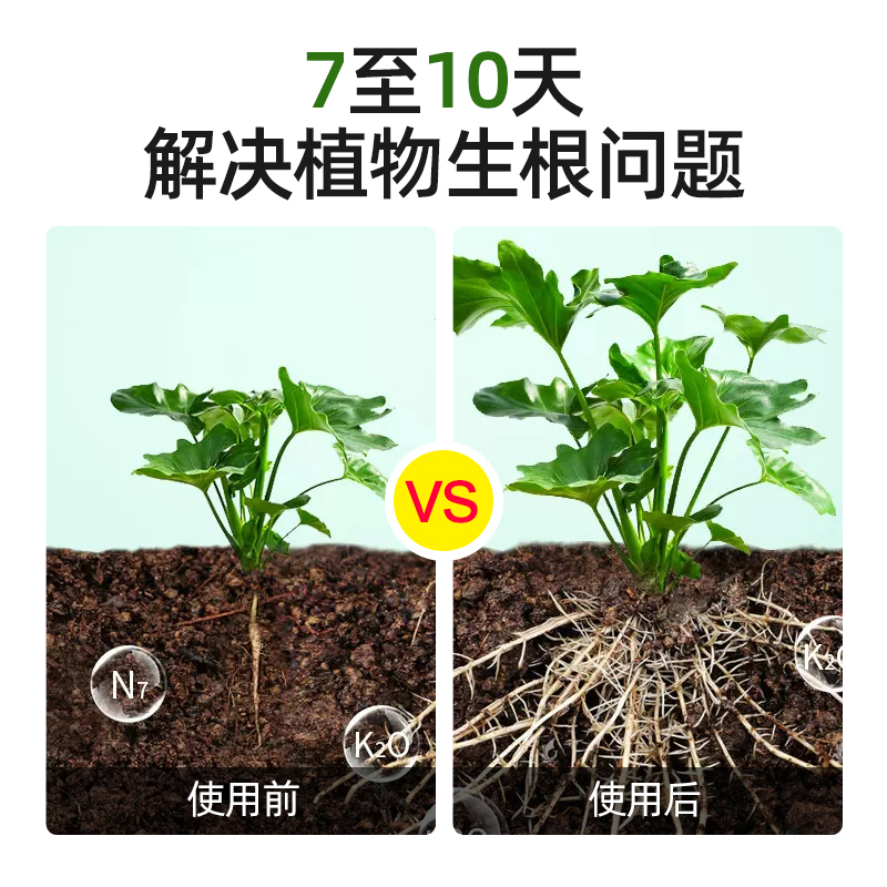 快速生根液移栽扦插生根水营养液植物通用强力多肉花卉壮苗生根剂