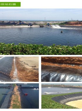 黑色防渗塑料薄膜养殖膜鱼塘专用地膜鱼池防水布藕池膜防护土工膜