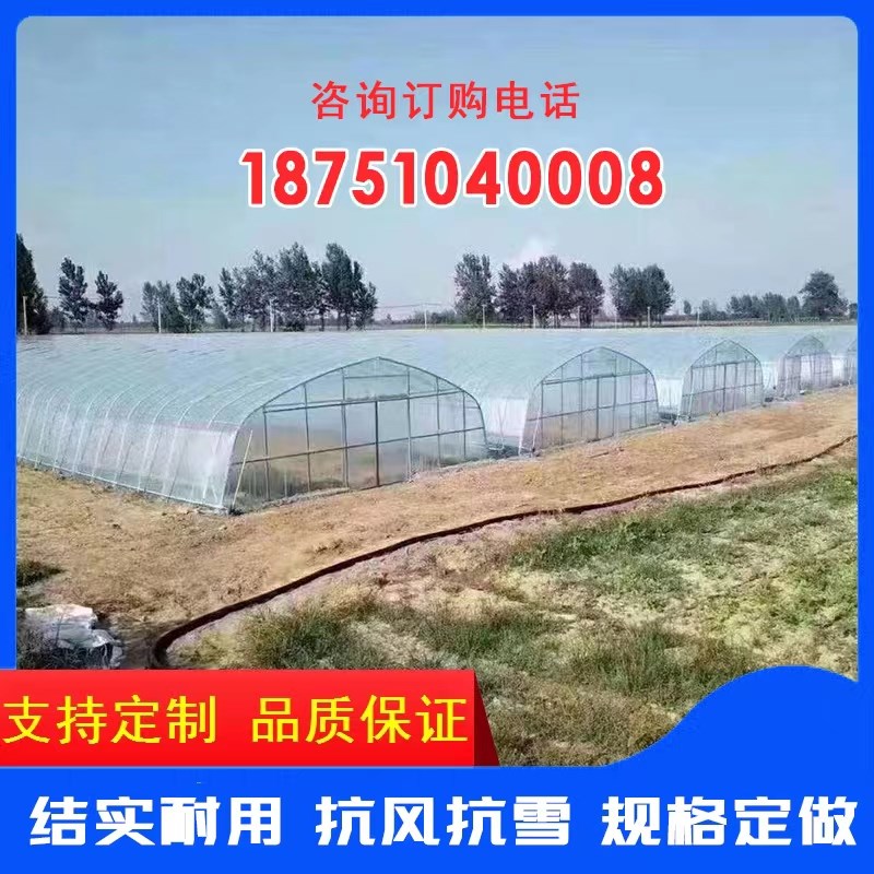 大棚钢管骨架椭圆管肩并肩温室花卉种植养殖