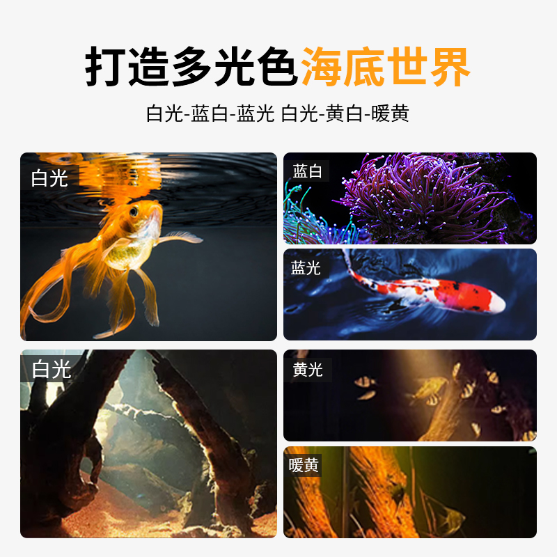 鱼缸射灯南美缸射灯观赏灯小鱼缸专用变焦led灯防水照鱼灯水草灯