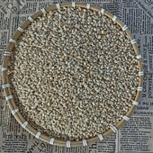 10斤新鲜红花籽白瓜子仓鼠鹦鹉鸽子L等鸟食饲料19省 包邮