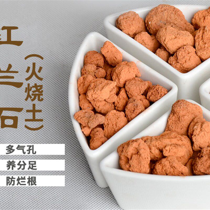 大包红土颗粒兰花专用植料营养土 红兰石火烧土R兰花铺面 配料花