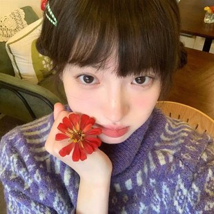 宽松打底针织衫 檀木紫 韩版 新款 软糯复古菱格高s领套头毛衣女春装