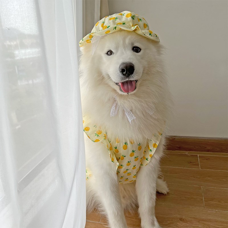 夏日小菠萝大狗狗春秋薄t款萨摩耶拉布拉多边牧中大型犬宠物衣服
