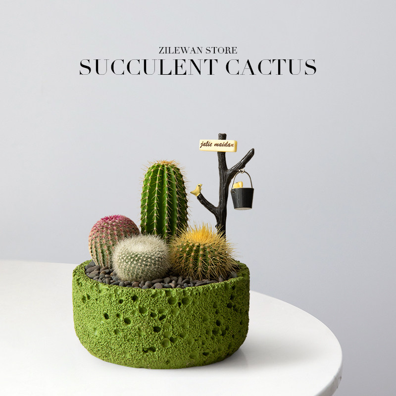 仙人掌多肉组合盆栽植物办公室z桌面仙人球绿植创意礼物生日送礼