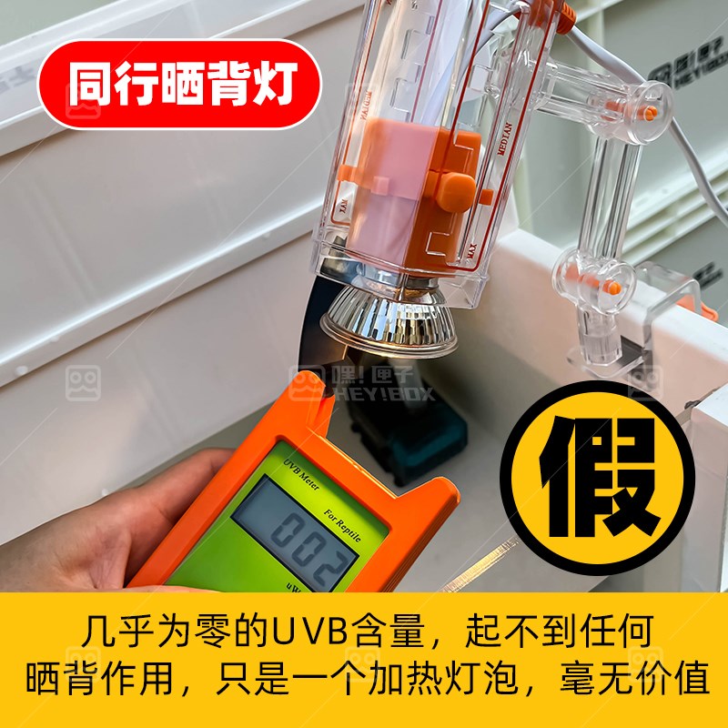 嘿匣子透明周转箱滴流过滤龟缸视窗周转箱养龟P可视整理箱diy发色