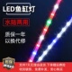 鱼缸灯led防水三l色变色全光谱增艳灯小型水族箱照明灯赏鱼灯吸盘