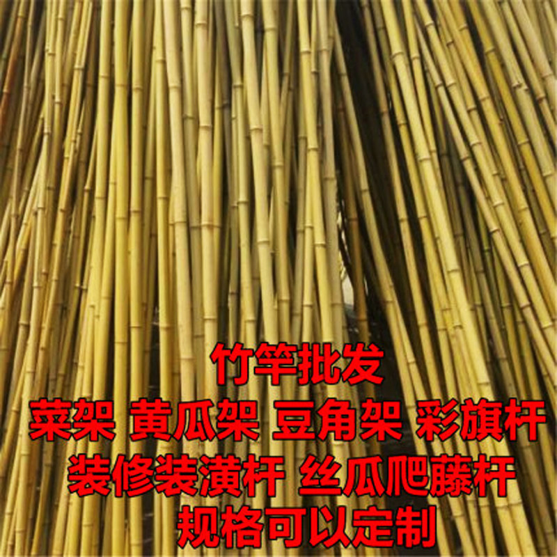 粗细小竹b竿蔬菜爬藤竹杆架种菜园搭架豆角架篱笆栅栏彩旗杆细竹