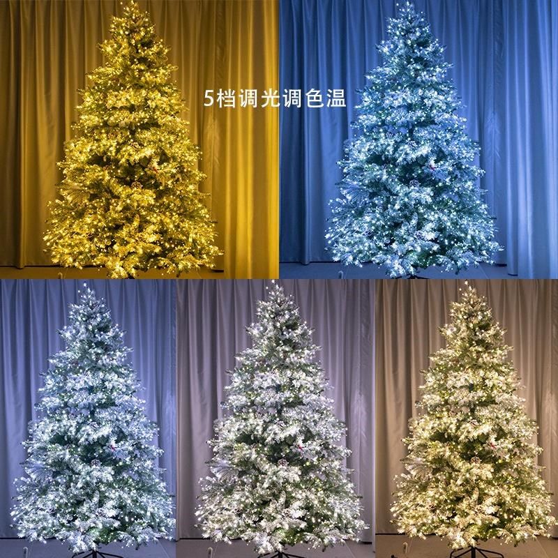 2024圣诞新款冷白暖白双色调光C调色温绿线铜丝灯串遥控圣诞树装