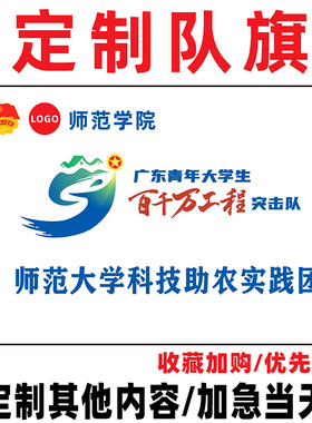 旗帜定做三下乡队旗子班旗白色旗横幅手摇旗户外队旗彩B旗定制公