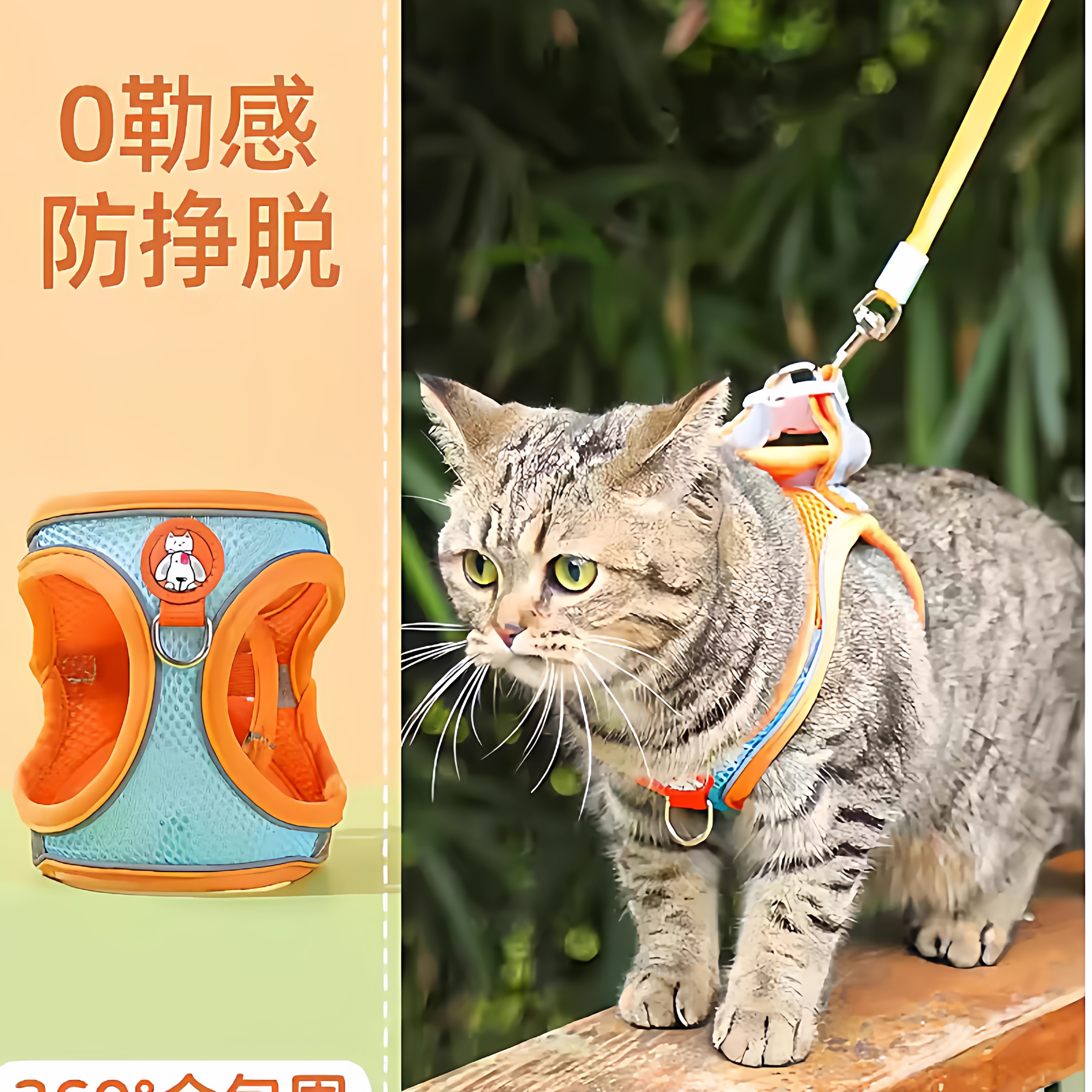 猫咪牵引绳防挣脱专用猫绳小型犬胸背带绳子溜猫绳宠物牵狗绳遛狗