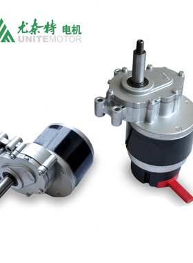 流电机二D10轮椅尤奈特电动机Z1AM刷直10Z1车级速有16Y磁低速永