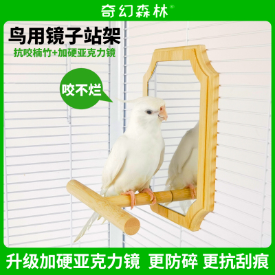 奇幻森林鹦鹉镜子抗咬站架竹木