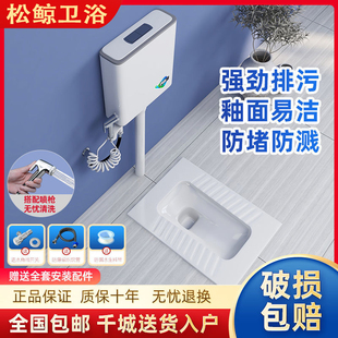 整v套大便器防臭蹲厕蹲坑便池蹬便器卫 家用陶瓷蹲便器冲水箱套装