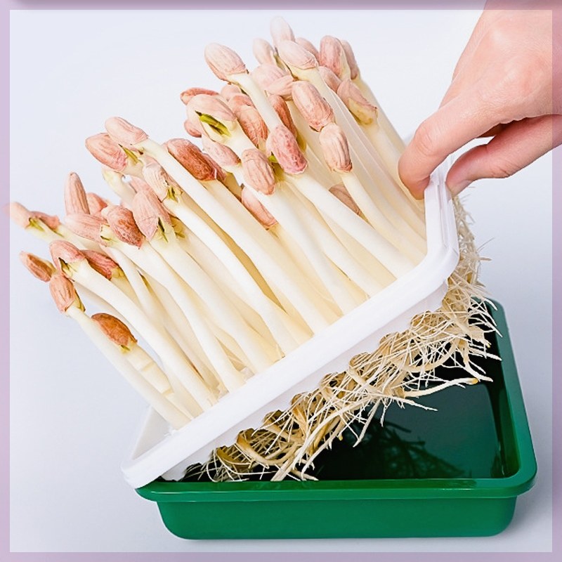 种子发芽箱豆牙器绿豆盆豆芽罐生绿豆芽机泡桶神器大容量全自动家