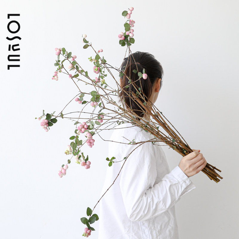 栗粉雪果鲜切花粉豆野奢鲜花雪豆ins小众高级感商业空间室内插花