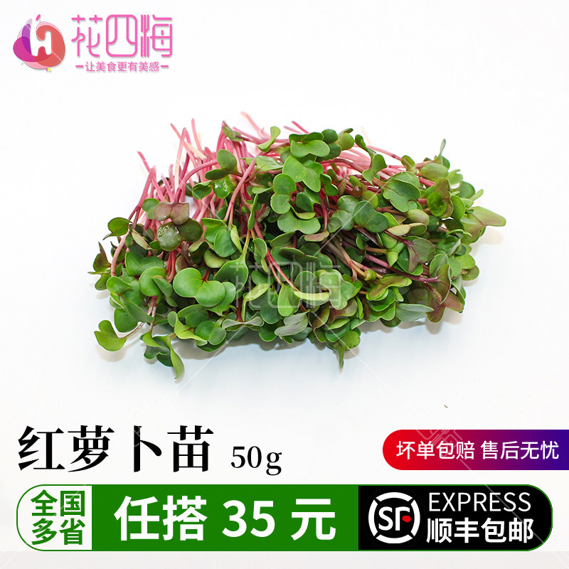 新鲜红萝卜苗 萝卜苗 可食用芽苗 餐饮摆盘装饰花草点缀鲜花草,水产肉类/新鲜蔬果/熟食,其它,淘宝优惠券,粉丝福利购,淘宝优惠卷