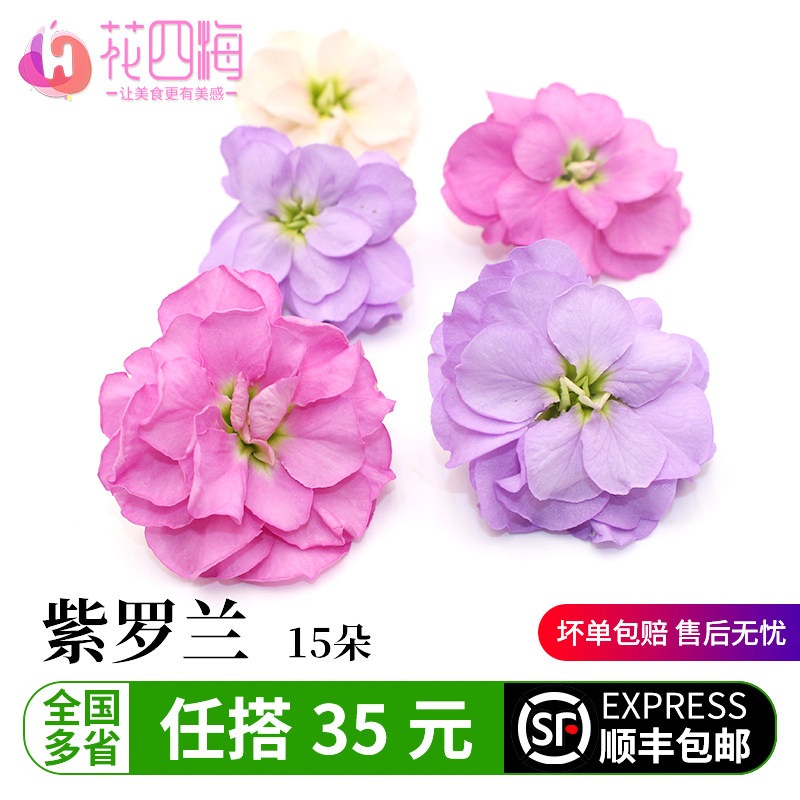 新鲜摆盘装饰花草 紫罗兰花 西餐调酒蛋糕烘焙装饰餐饮摆盘鲜花草