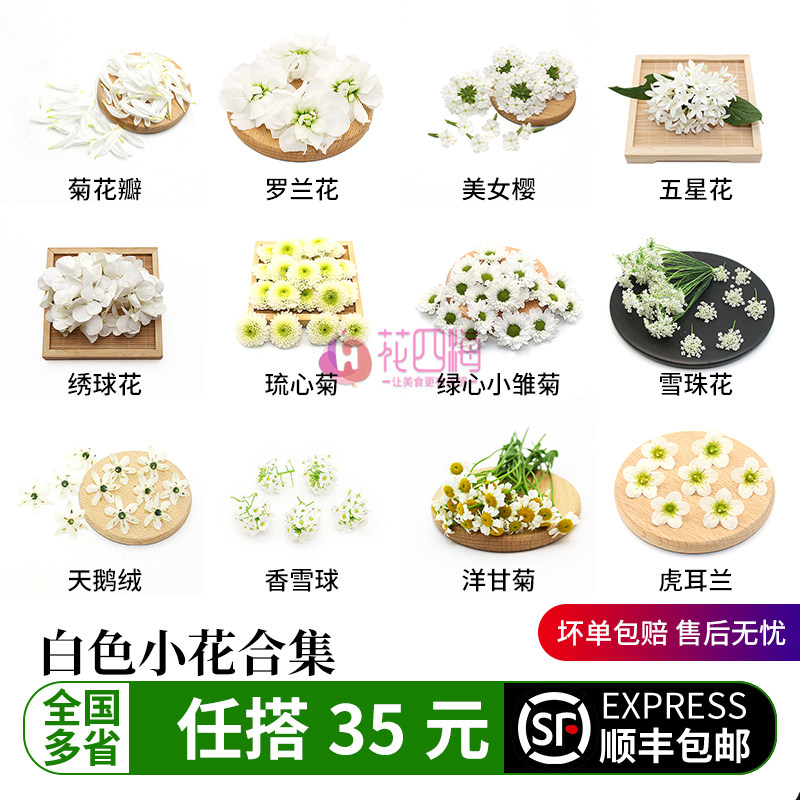 新鲜白色五星花小白菊雪珠花绣球花琉心菊白菊花酒店西餐摆盘装饰