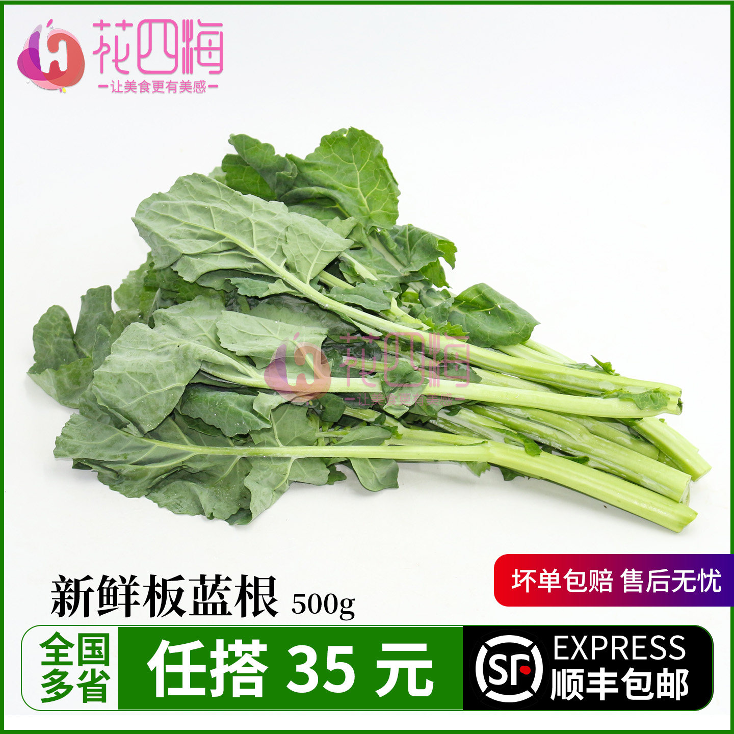 新鲜板蓝根500g青菜大青叶菘蓝苗清火时令菜餐厅专供食材现摘现发