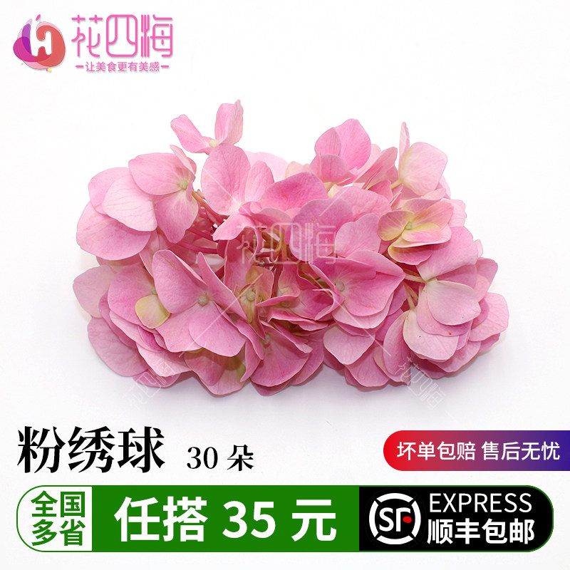 新鲜粉绣球花 西餐料理 酒店饭店冷盘摆盘装饰花草 30朵/盒