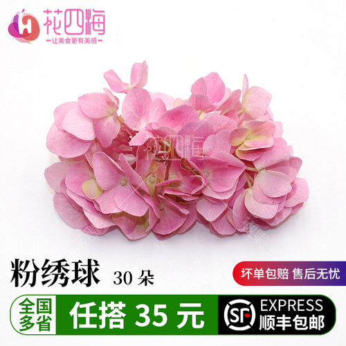 新鲜粉绣球价优西餐料理冷艺摆盘
