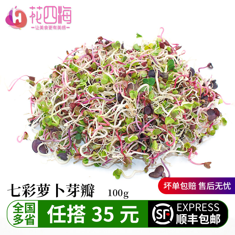 新鲜七彩萝卜芽轻食素食凉拌沙拉西餐冷菜芽苗菜品摆盘装饰点缀