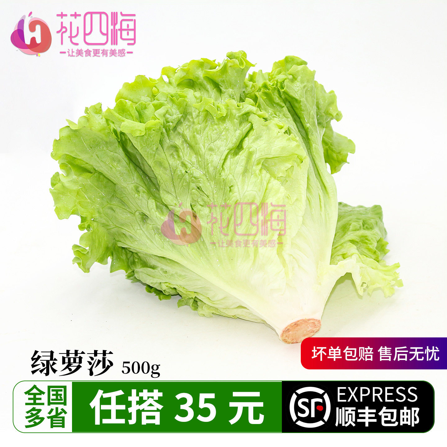 新鲜花叶生菜 绿萝莎 散叶西餐沙拉食材饭店餐厅调味蔬菜绿色蔬菜