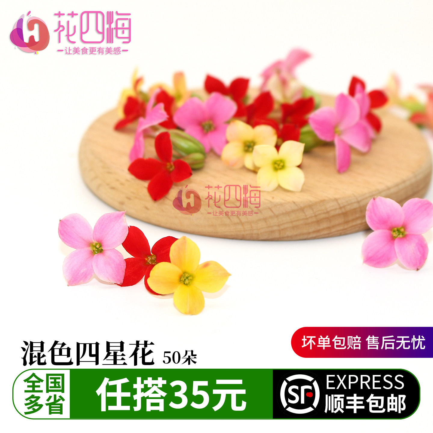 新鲜粉色四星花 繁星花50朵 酒店西餐蛋糕烘培冷菜品摆盘装饰点缀