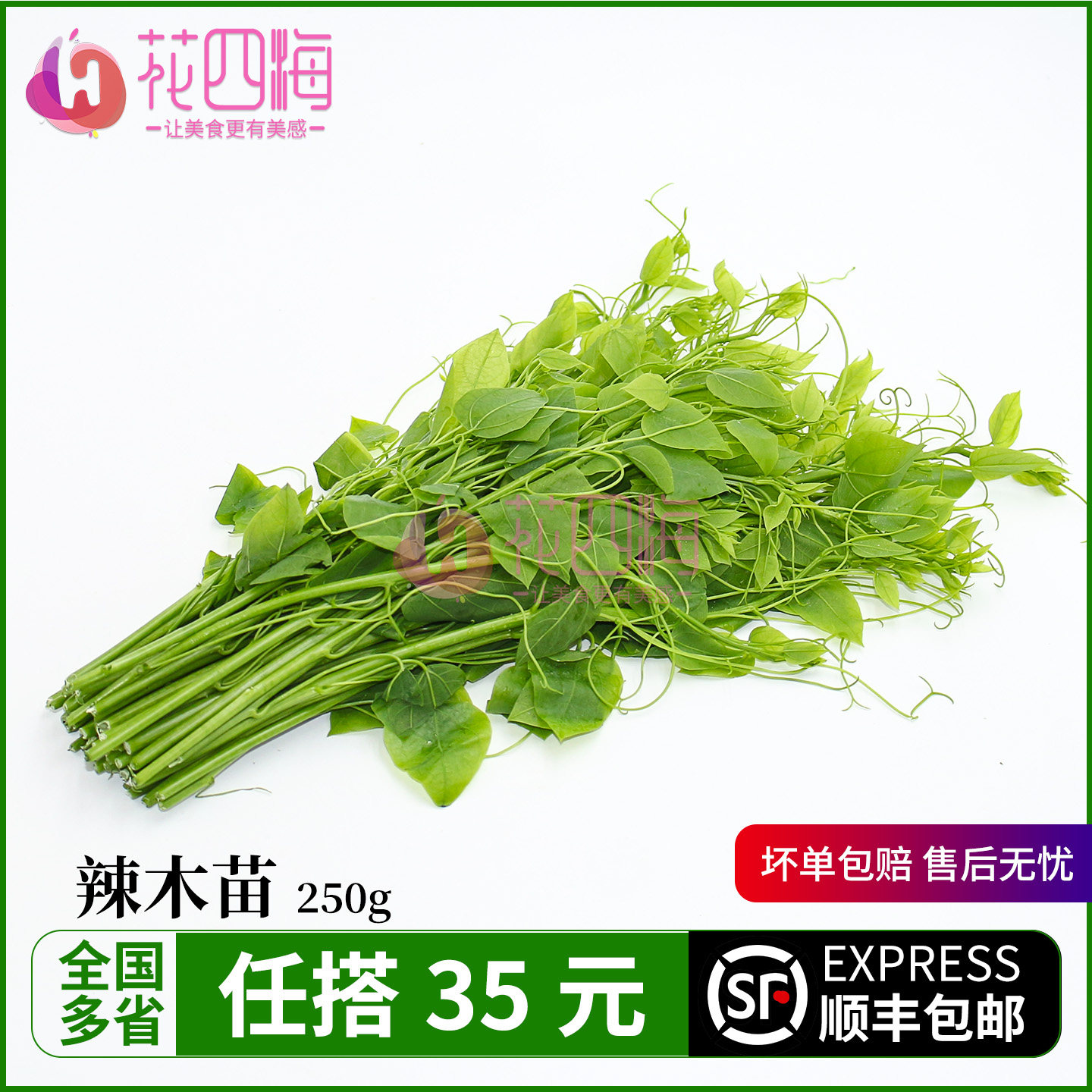 新鲜辣木苗250g 姑娘菜 野菜赤苍藤酒店特色蔬菜食材凉拌炒菜优选