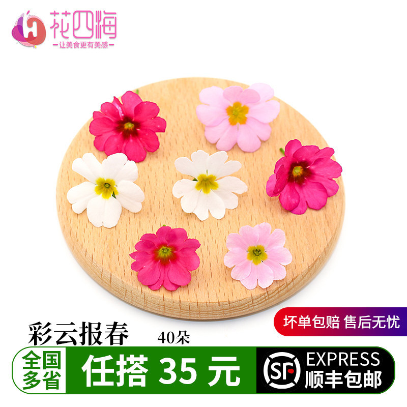 新鲜彩云报春花微型小白花西餐蛋糕烘培调酒菜品摆盘装饰花草点缀,水产肉类/新鲜蔬果/熟食,其它,淘宝优惠券,粉丝福利购,淘宝优惠卷