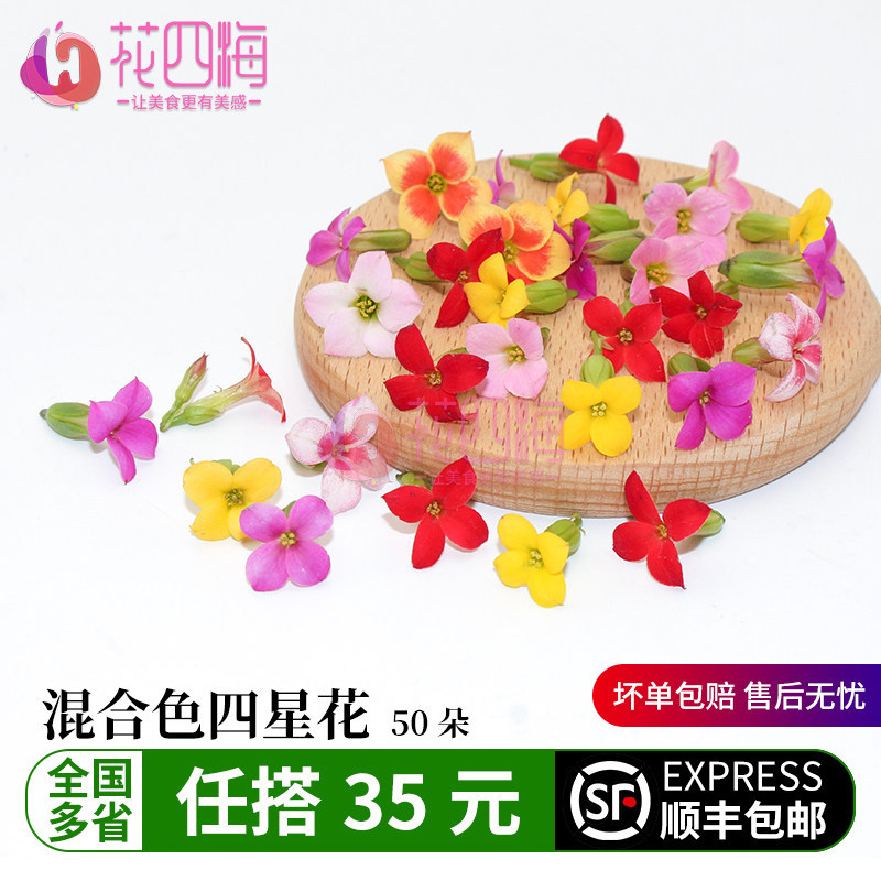 新鲜混色四星花 繁星花50朵 酒店西餐蛋糕烘培冷菜品摆盘装饰点缀
