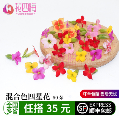 新鲜混色四星花 繁星花50朵 酒店西餐蛋糕烘培冷菜品摆盘装饰点缀