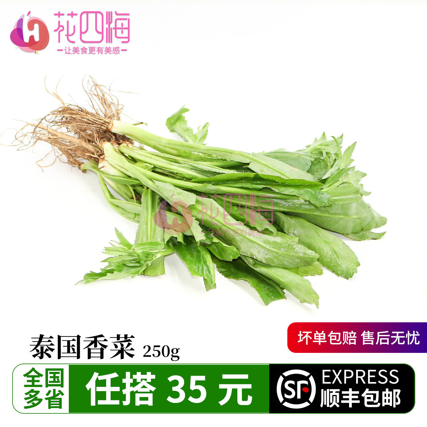 新鲜泰国香菜250g东南亚大香菜泰餐Culantro越南河粉配菜凉拌调味