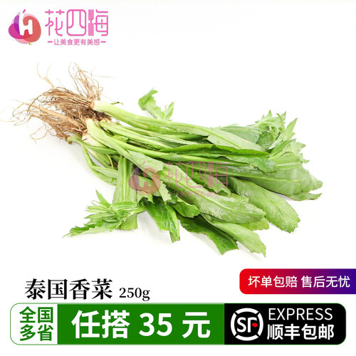 新鲜泰国香菜250g东南亚大香菜泰餐Culantro越南河粉配菜凉拌调味