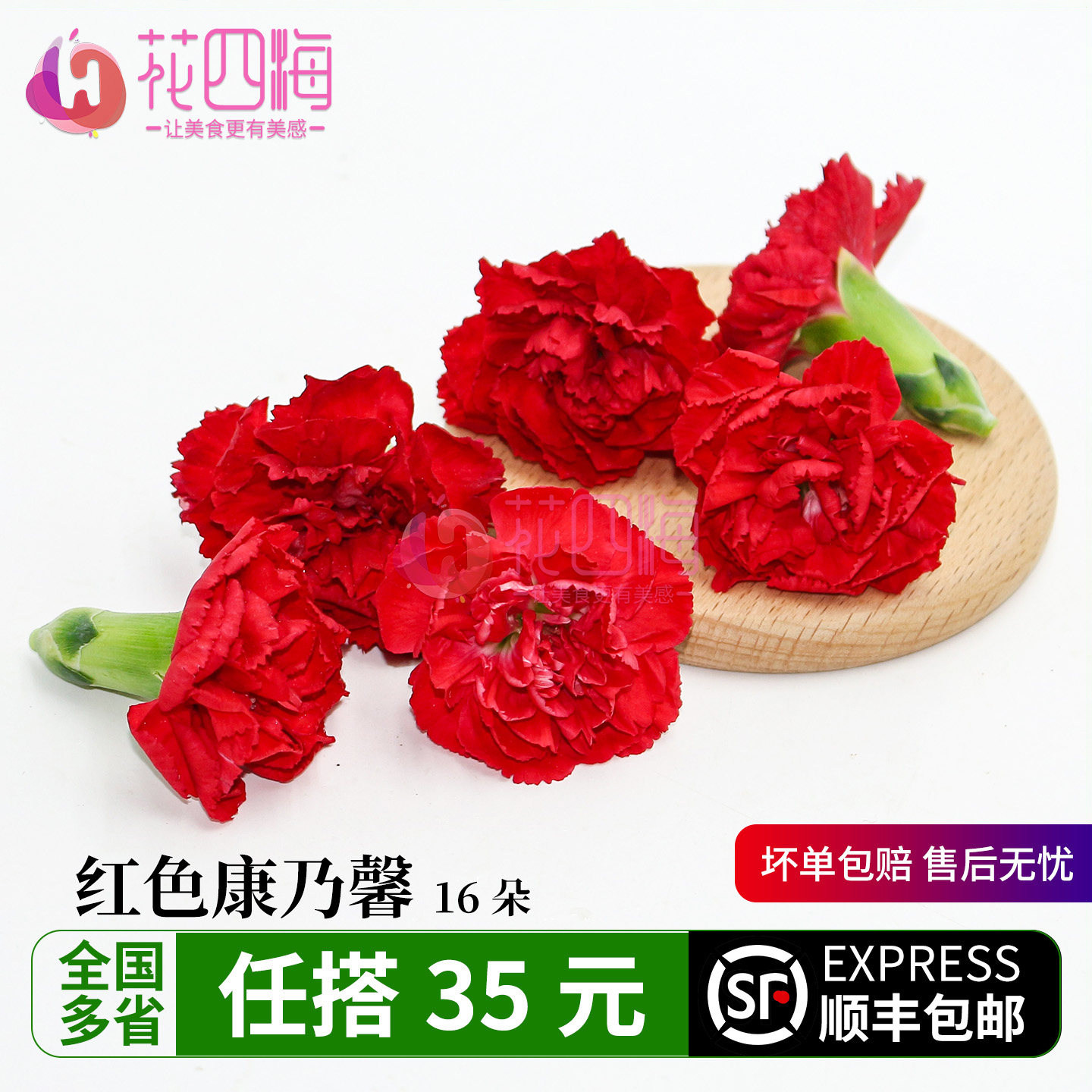 新鲜 红色康乃馨花朵 鲜花多色康乃馨 酒店西餐摆盘蛋糕装饰