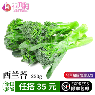 新鲜蔬菜 新鲜西兰苔 兰花苔 青花西兰苔青花菜 西兰花苔250g