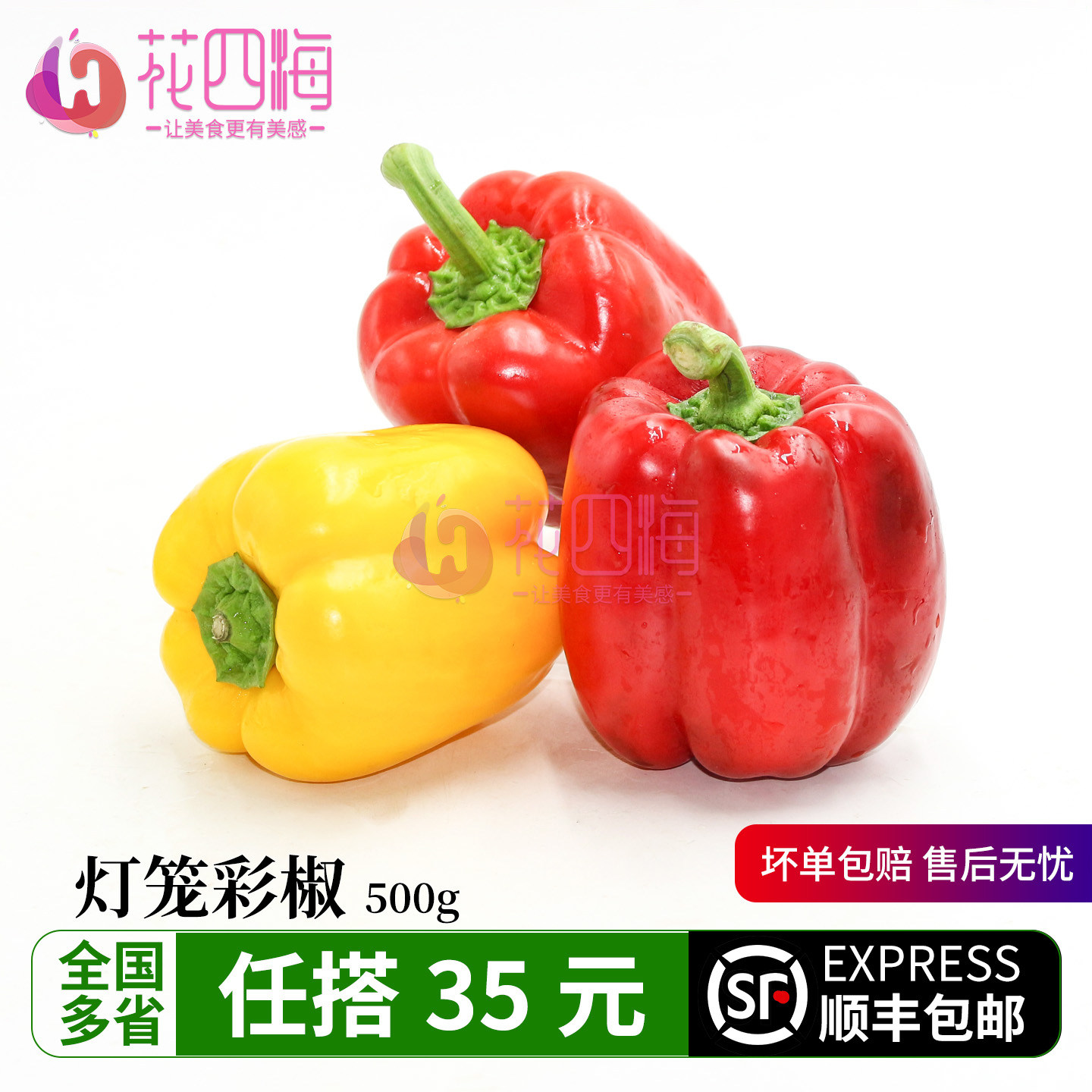 新鲜灯笼彩椒500g 多色甜椒 水果圆椒 厚肉生食蔬菜 沙拉健身食材